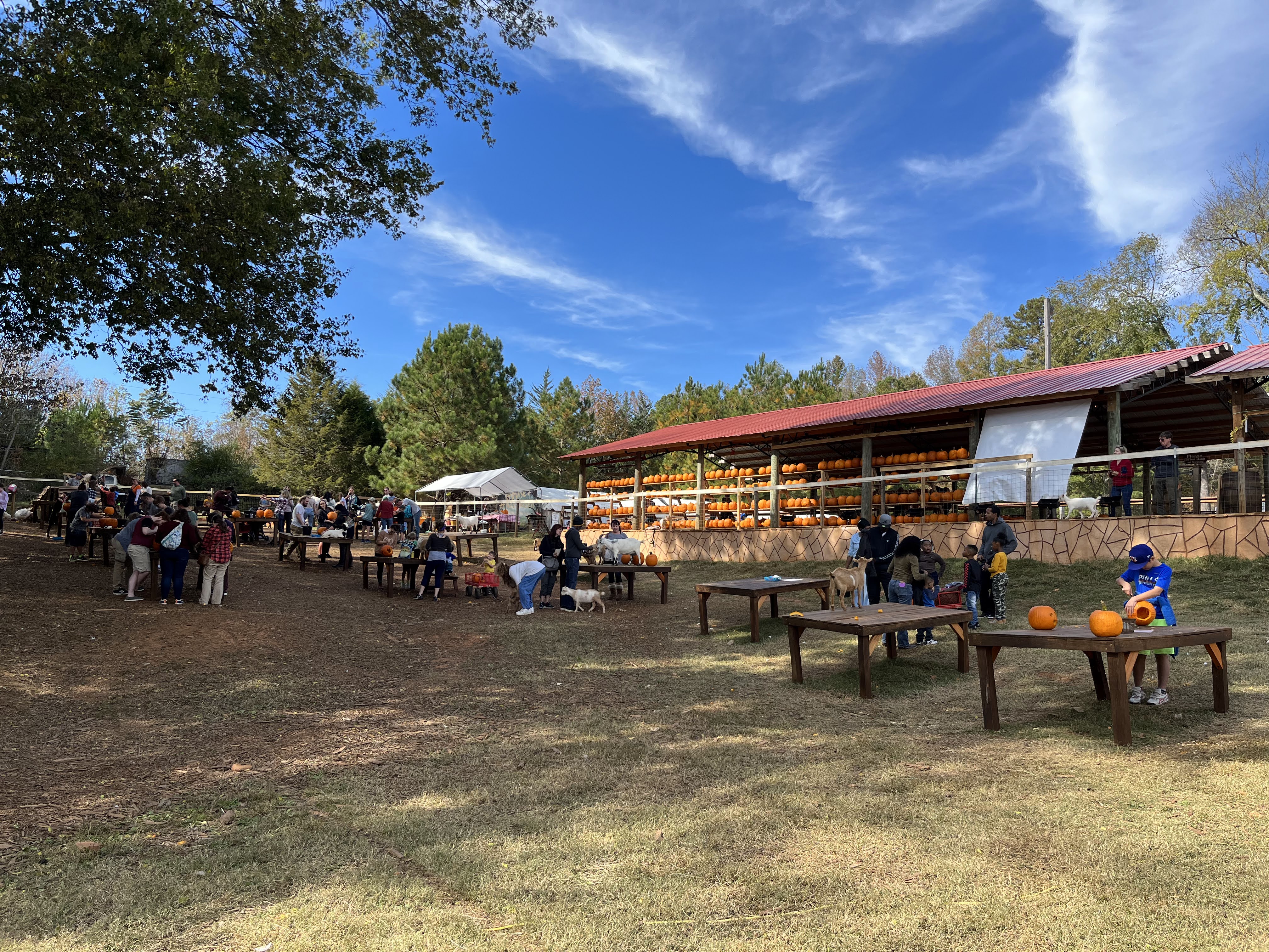 Spring Haven Farm